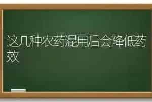 这几种农药混用后会降低药效