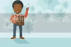 安全使用农药  预防农药中毒