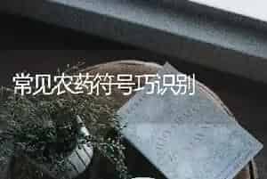 常见农药符号巧识别