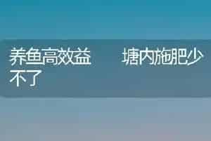 养鱼高效益  塘内施肥少不了