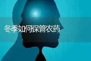 冬季如何保管农药