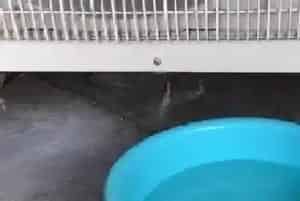 空调流出的水可以浇花吗?
