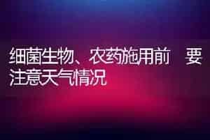 细菌生物、农药施用前 要注意天气情况