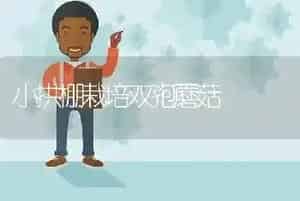 小拱棚栽培双孢蘑菇