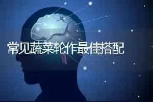 樱桃西红柿如何施肥