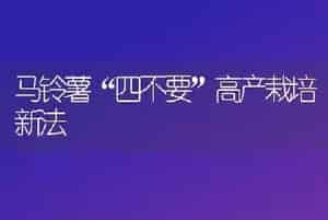 马铃薯“四不要”高产栽培新法