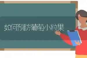 如何预防葡萄小粒果
