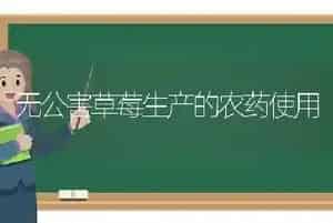 无公害草莓生产的农药使用