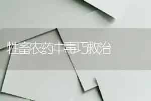 如何种植姜