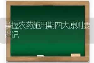 掌握农药施用期四大原则要谨记