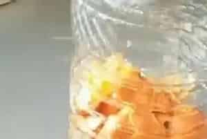 橘子皮泡水可以浇长寿花吗?