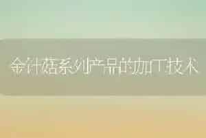 金针菇系列产品的加工技术