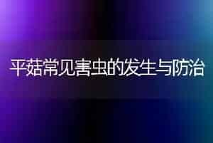 平菇常见害虫的发生与防治