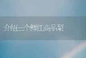 减少农药残留几种方法