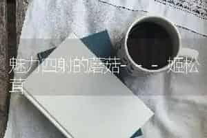魅力四射的蘑菇---姬松茸