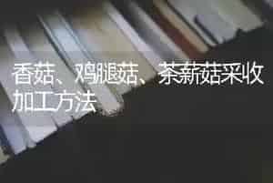 香菇、鸡腿菇、茶薪菇采收加工方法