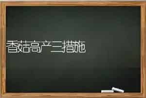 香菇高产三措施