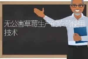 无公害草莓生产的农药使用技术