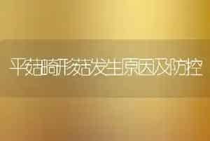平菇畸形菇发生原因及防控