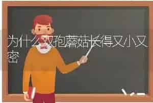 为什么双孢蘑菇长得又小又密
