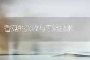 香菇的采收与干燥技术