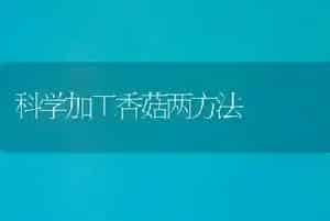 科学加工香菇两方法