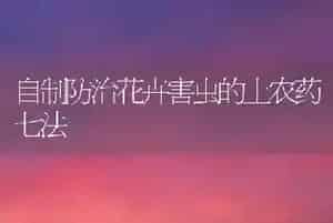 自制防治花卉害虫的土农药七法