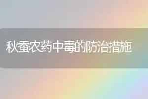 秋蚕农药中毒的防治措施