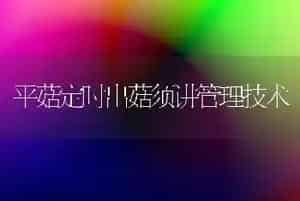 平菇定时出菇须讲管理技术