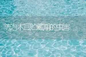 防治木耳贮藏期的虫害
