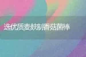选优质麦麸制香菇菌棒