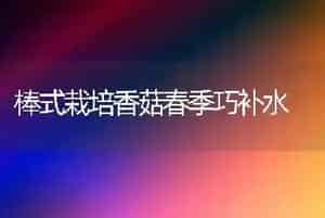 棒式栽培香菇春季巧补水