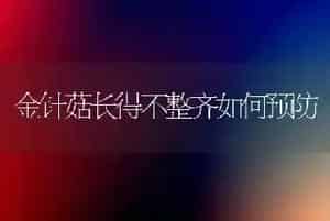 金针菇长得不整齐如何预防
