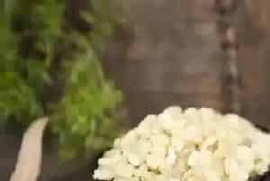 皂角米哪里产的最好?