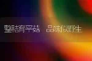 整秸育平菇 品味似野生
