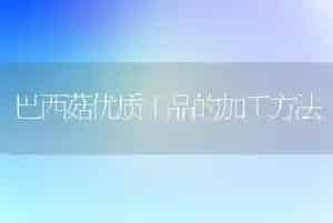 巴西菇优质干品的加工方法