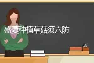 盛夏种植草菇须六防