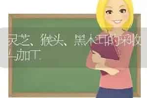 灵芝、猴头、黑木耳的采收与加工