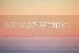 冬瓜的农家贮藏保鲜技术