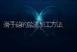 滑子菇的盐渍加工方法