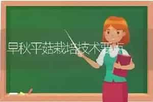 早秋平菇栽培技术要点