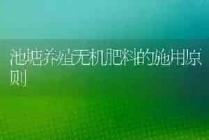 池塘养殖无机肥料的施用原则