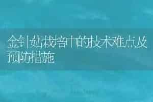 金针菇栽培中的技术难点及预防措施
