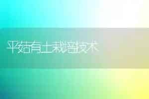 平菇有土栽培技术
