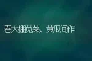 春大棚苋菜、黄瓜间作