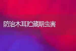 防治木耳贮藏期虫害