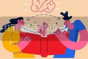 红丽南瓜品种简介