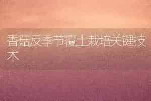 香菇反季节覆土栽培关键技术
