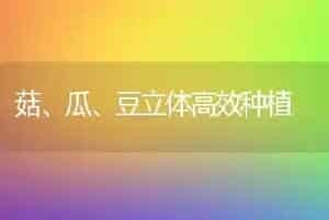 菇、瓜、豆立体高效种植