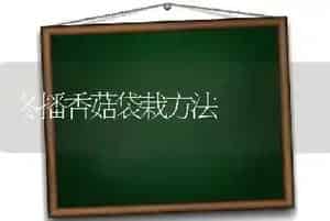 冬播香菇袋栽方法